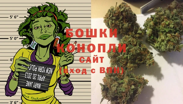 PSILOCYBIN Горнозаводск