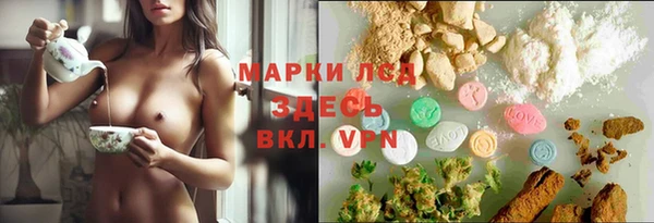 ПСИЛОЦИБИНОВЫЕ ГРИБЫ Горняк