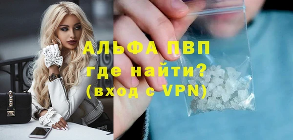 PSILOCYBIN Горнозаводск