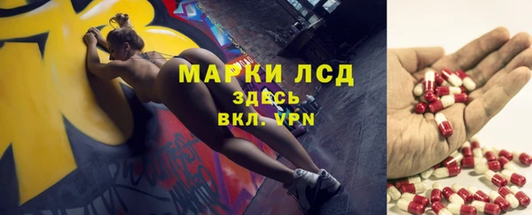 PSILOCYBIN Горнозаводск