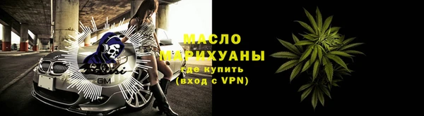 хмурый Белая Холуница