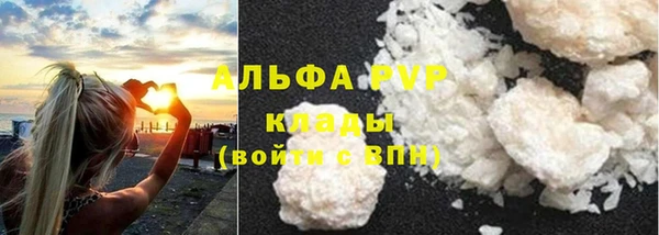 ПСИЛОЦИБИНОВЫЕ ГРИБЫ Горняк